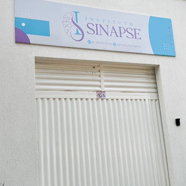 imagem 3 site sinapse